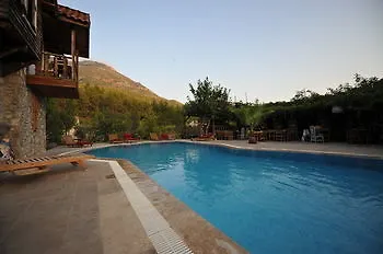 Koyevi