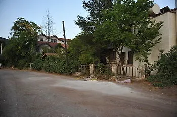 Koyevi 3* Olympos