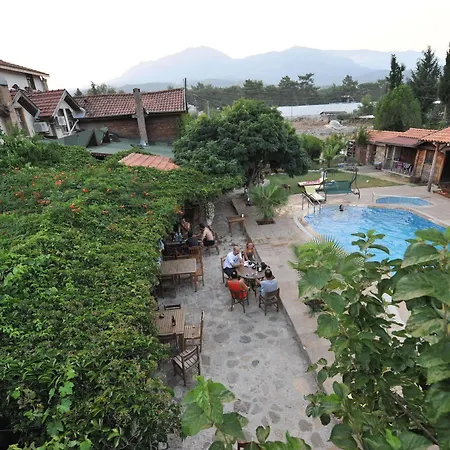 Koyevi 3* Olympos