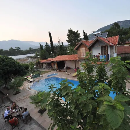 Koyevi Hotel 3*