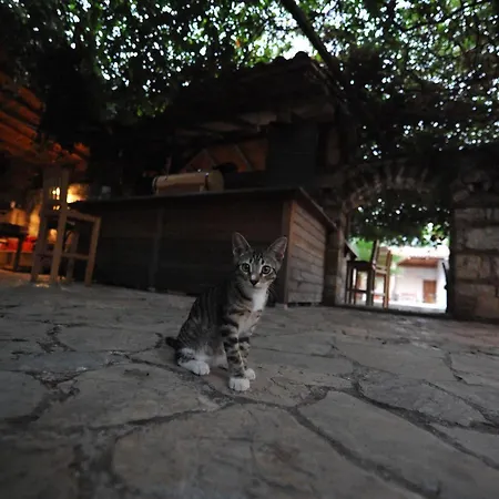 Koyevi Hotel Olympos